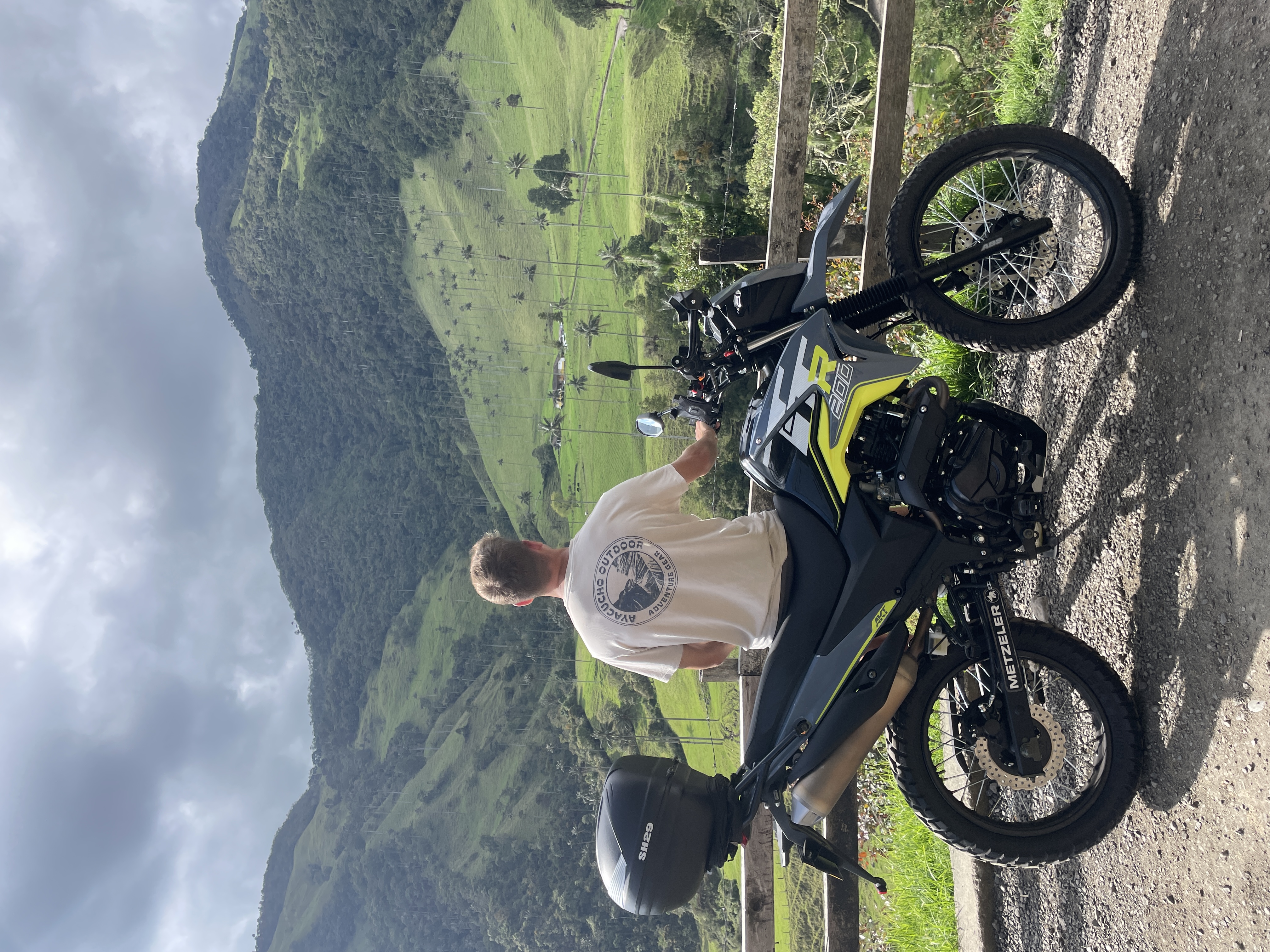 Palomino — Moto Moto gallery photo 1