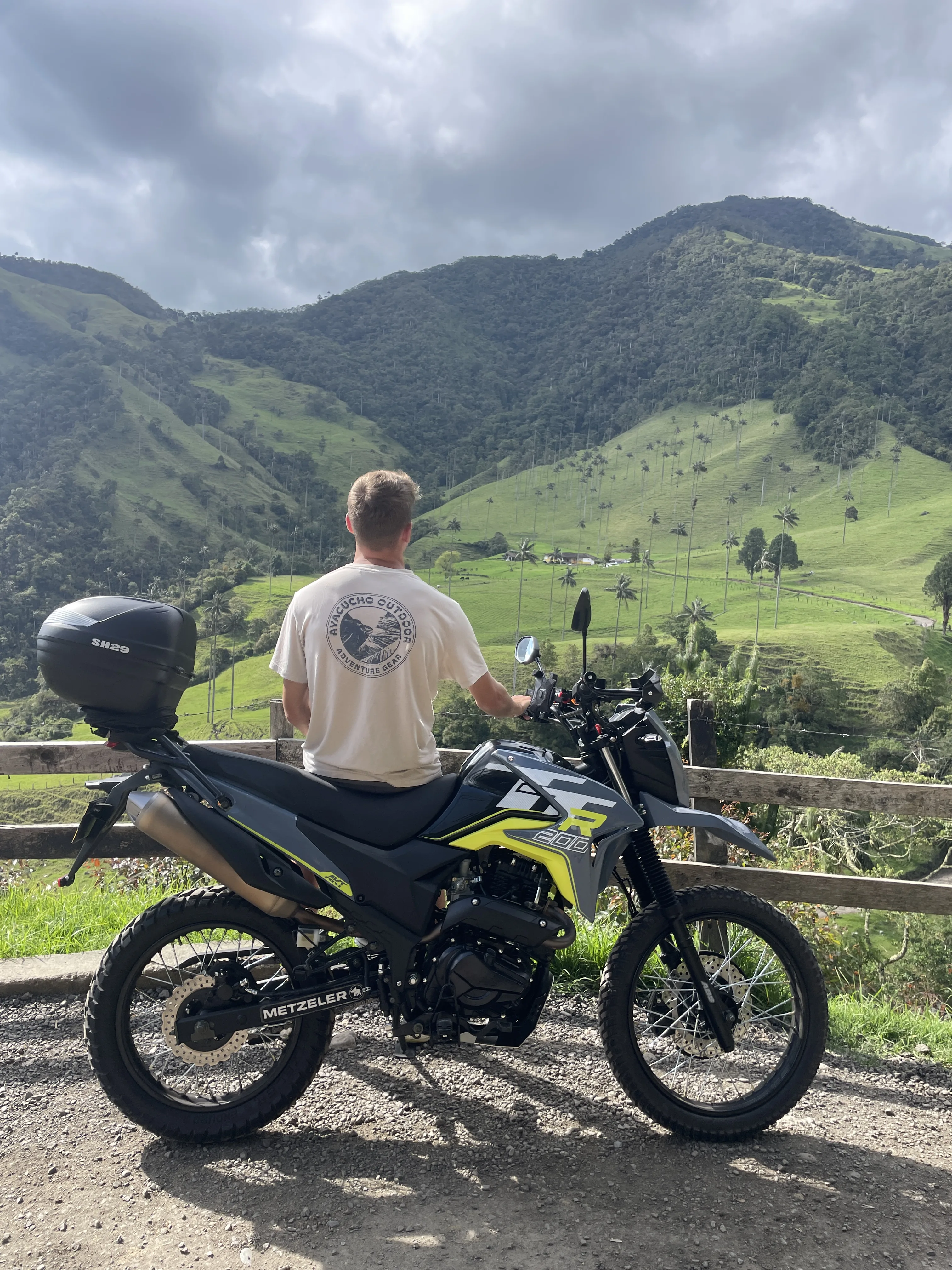 Palomino scenery