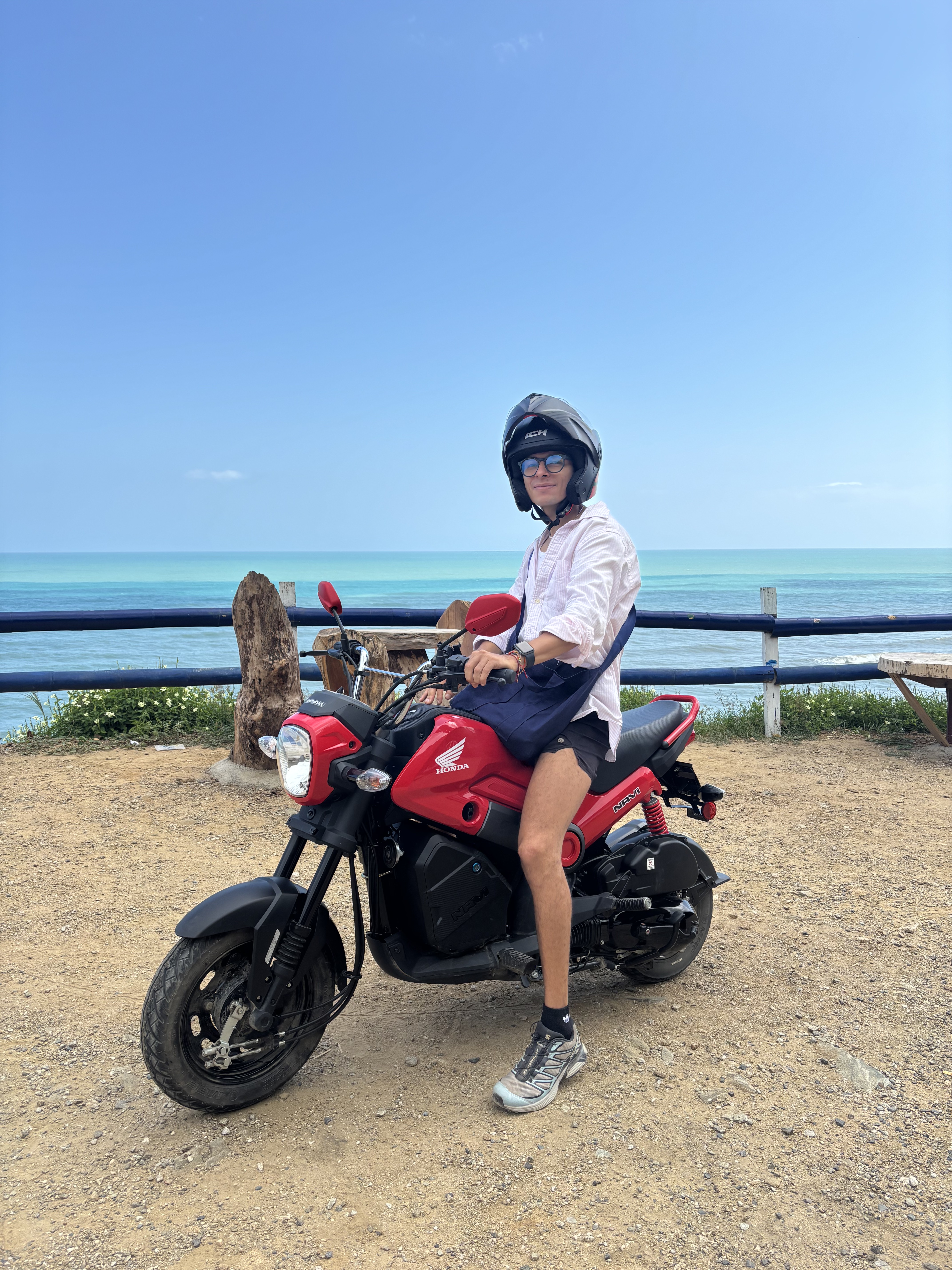 Palomino — Moto Moto gallery photo 4