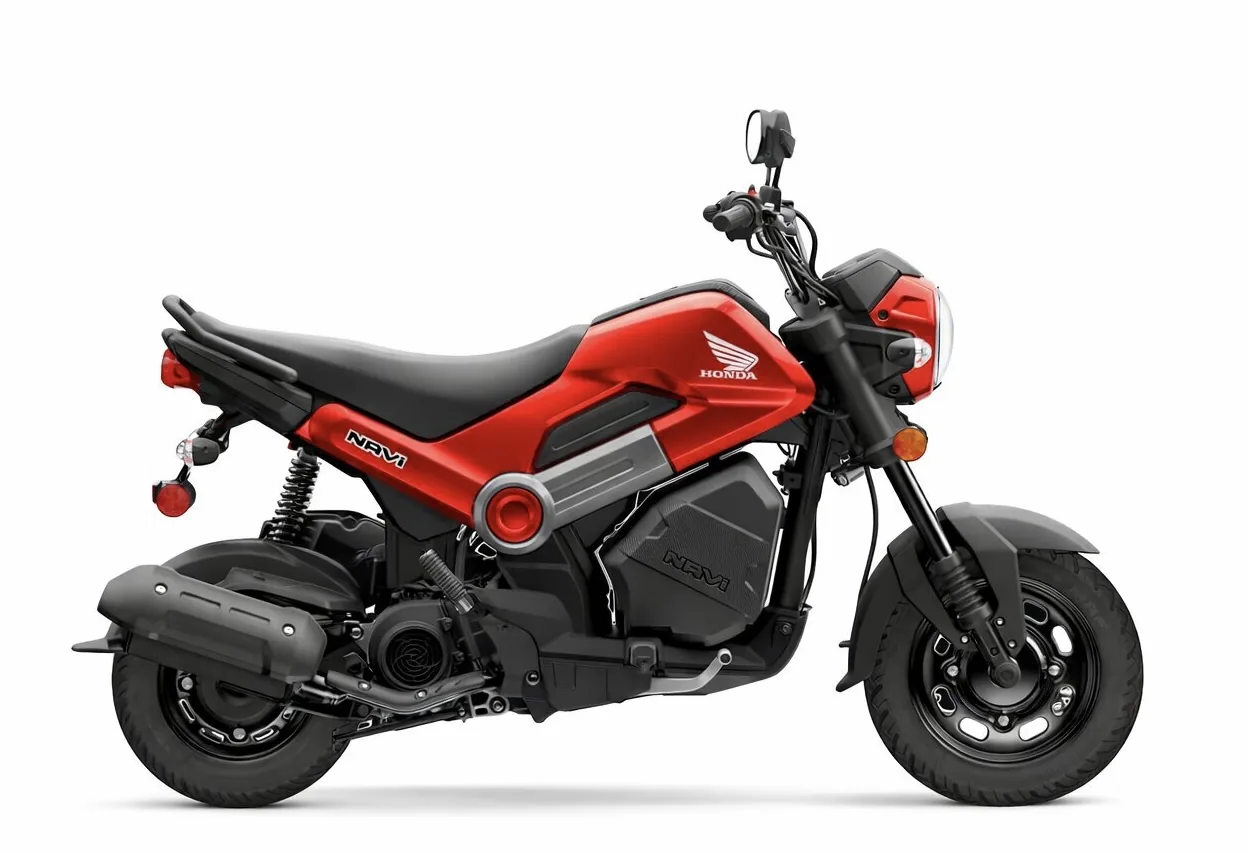 Honda Navi 110 Automatic – motorcycle rental Palomino